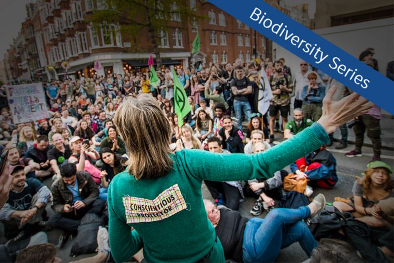 Image for Averting Climate Catastrophe: Extinction Rebellion, Business & People Power